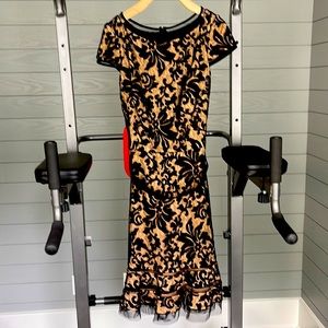 Tadashi shoji black dress